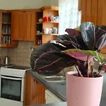 Katerina 's Penthouse * Kalamata