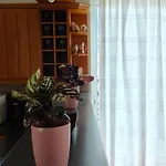 Katerina 's Penthouse Apartament