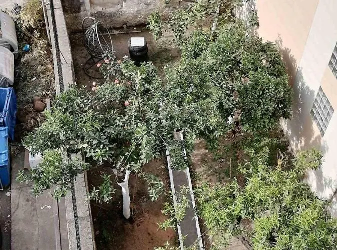 Katerina 's Penthouse Appartamento Kalamata